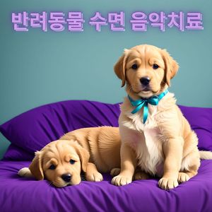 당신의 가장 친한 친구를 편안하게