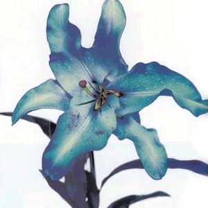 “虫儿飞”孟菲斯 x 钢琴 x 顶级采样 Type Beat