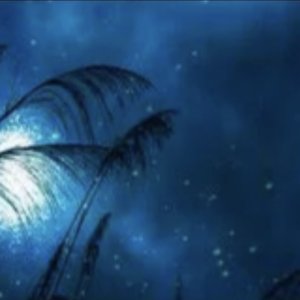 往事只能回味（二胡演奏）