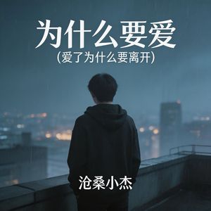 为什么要爱 (爱了为什么要离开)