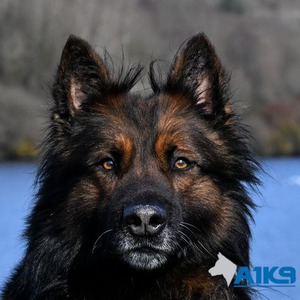 DON'T JEALOUS ME (slowed)