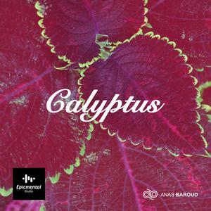 Calyptus (Original Motion Picture Soundtrack)