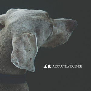 Vorspiel ~ Frühling