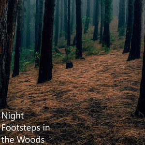Night Footsteps in the Woods