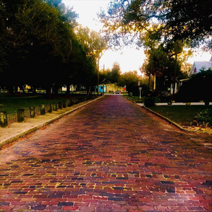 The Latin Jazz and Salsa Show