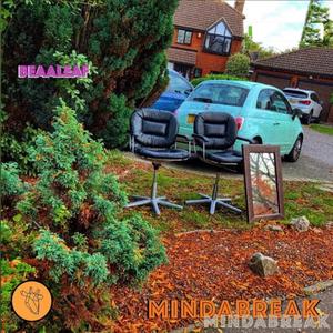 Mindabreak (feat. Leo Walrus)