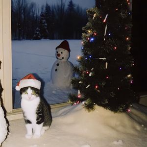 bule snowflake.(slow to cry)