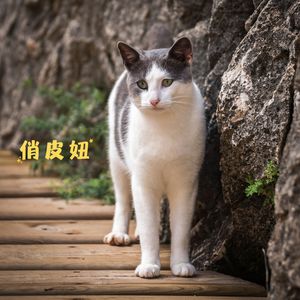 温暖憨 (钢琴)