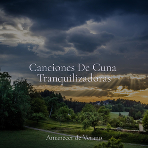 Milagros en Desarrollo Revelándose