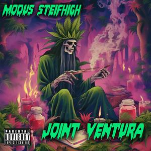 Joint Ventura