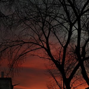 十四年恋爱长跑（3版）