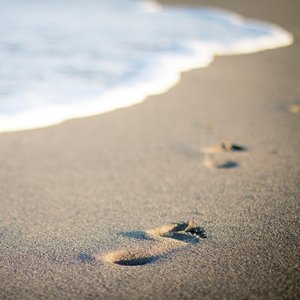 Último Suspiro en Re Menor