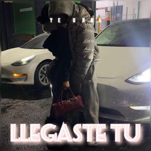 llegaste tu