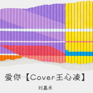 爱你【Cover王心凌】