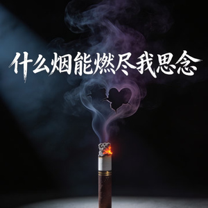 什么烟能燃尽我思念