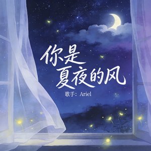 你是夏夜的风