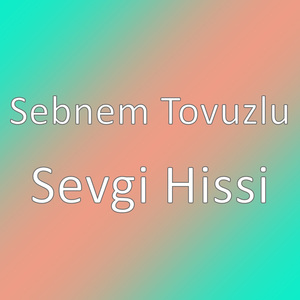 Sevgi Hissi