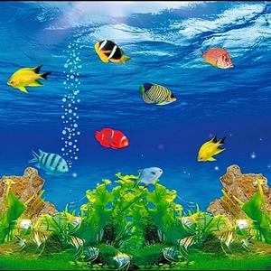 broke bois (feat. Triple03)