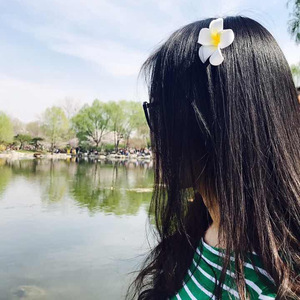 写给朱小琳的歌