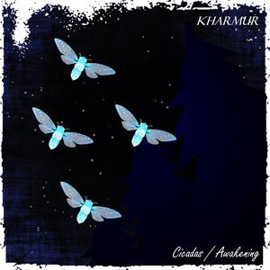 Cicadas