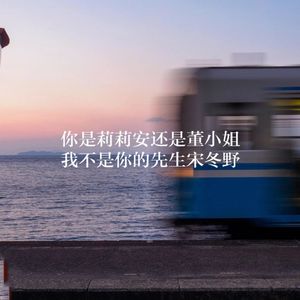 我不是你的宋冬野