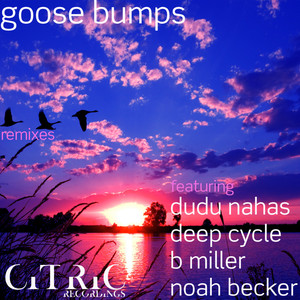 Goose Bumps (Deep Cycle Remix)
