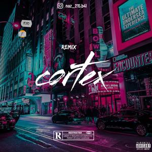 cortex