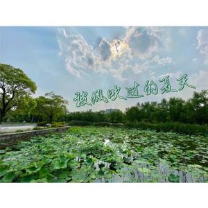 被风吹过的夏天（南师泰院版）