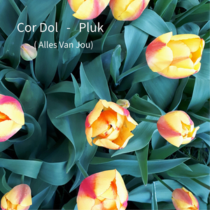 Pluk (Alles Van Jou)