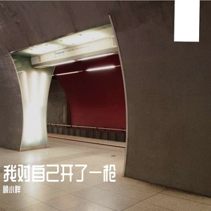 我对自己开了一枪