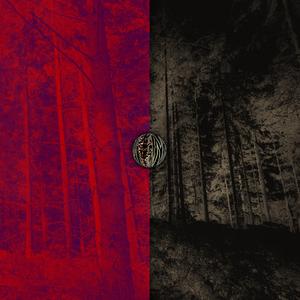 Emptiness, Drowned in the Sources of Reinøya