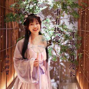 唯有热爱可抵岁月漫长(雨甜版) 伴奏版