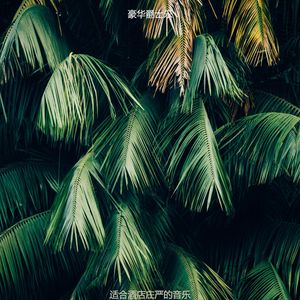 适合酒店忧郁的音乐