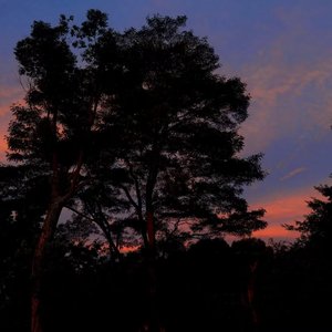 Virgo and a kiss♡(remix)