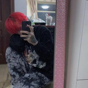 天上飞（翻自 bd被动）