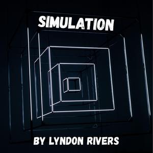 Simulation
