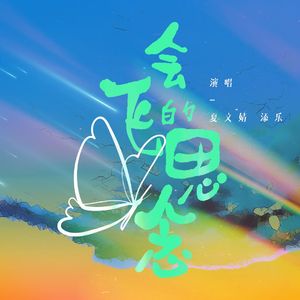 会飞的思念