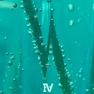 ok³(feat.TRANEIVANGEL)