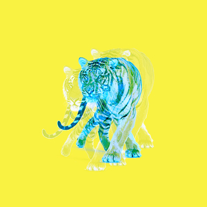 너를 위해 돈을 벌게