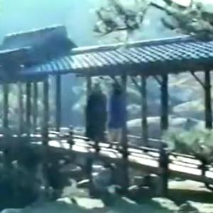 寺院についての最後の夢