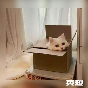 多想在平庸的生活拥抱你