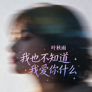 我也不知道我爱你什么