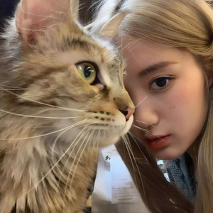 六哲-相爱分手都是罪（种捧玫瑰 remix）