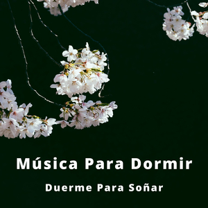 Música Relajante Para Bebés