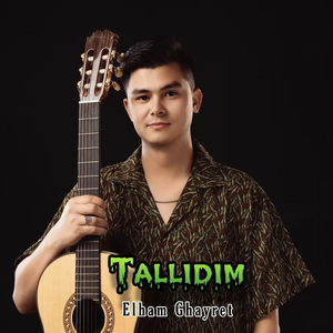 Tallidim吉他