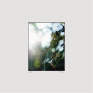 Aceituna (feat. Buena Tarde)