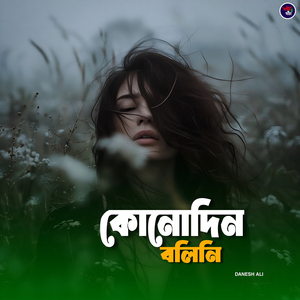 কোনোদিন বলিনি