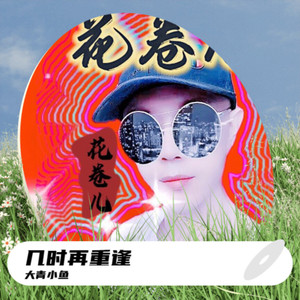 几时再重逢 (DJ花卷儿版)