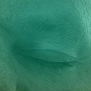 Chabun 12