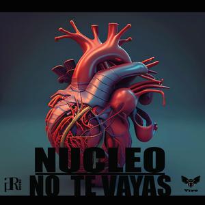 NO TE VAYAS (YIYO) (feat. ANNI)